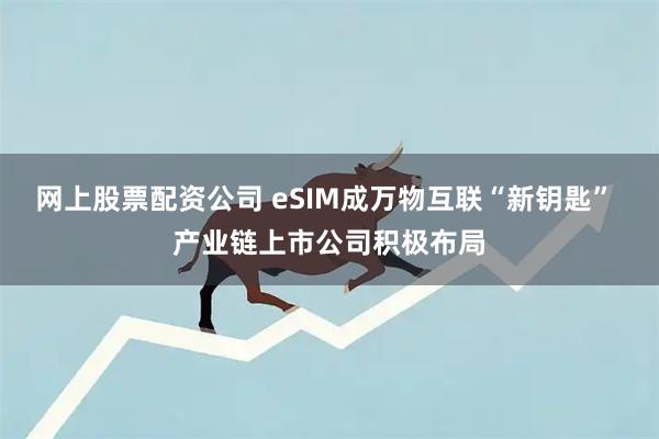 网上股票配资公司 eSIM成万物互联“新钥匙” 产业链上市公司积极布局
