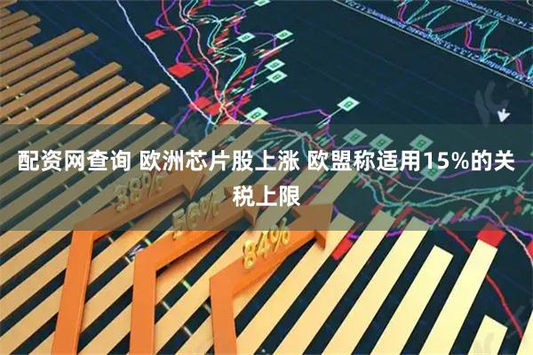 配资网查询 欧洲芯片股上涨 欧盟称适用15%的关税上限